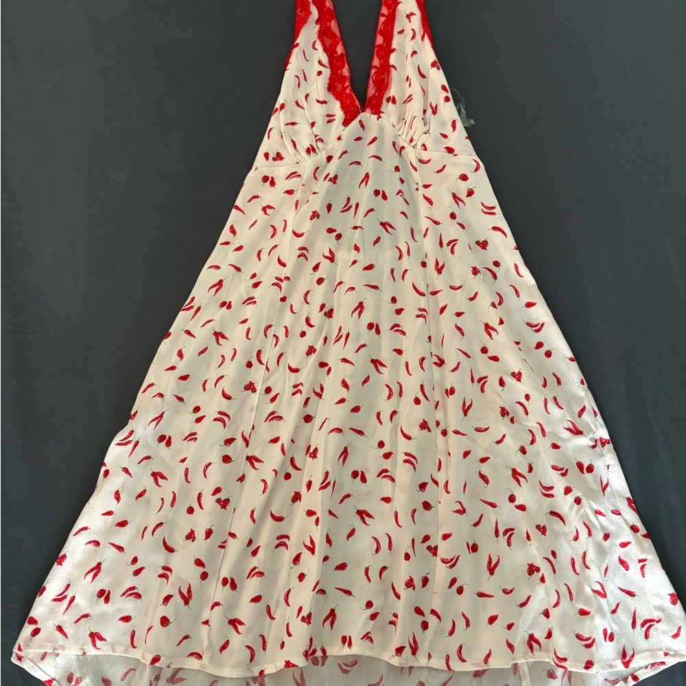 Wild Fable Red and White Floral Dress